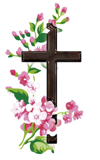 Photo de profil de Monsieur Jean Arnold CAPITTA